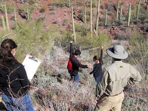 In the Spring semesters of 2012 and 2013, high school students became field biologists, searching for undiscovered species of bacteria and fungi living with desert plants. (Photo: Betsy Arnold) In the Spring semesters of 2012 and 2013, high school students became field biologists, searching for undiscovered species of bacteria and fungi living with desert plants. (Photo: Betsy Arnold)